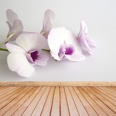 Bildtapete Weiße orchideen