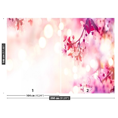 Bildtapete Kirschblüten