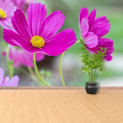 Bildtapete Blumen kosmos