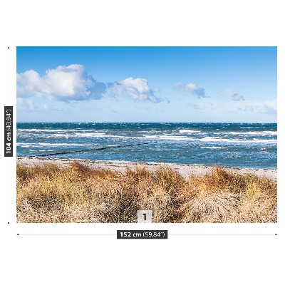 Fototapete Gras dünen
