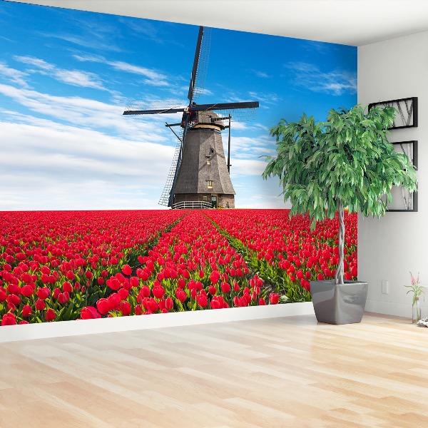 Fototapete Tulpen windmühle