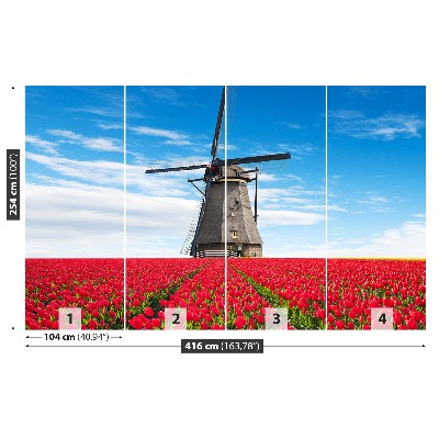 Fototapete Tulpen windmühle