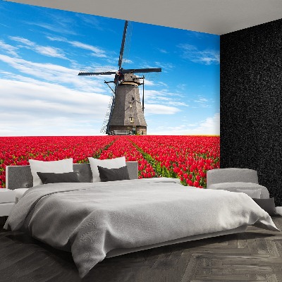 Fototapete Tulpen windmühle