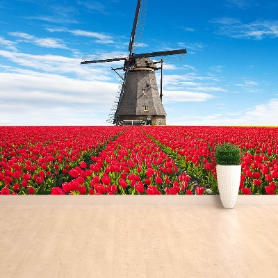 Fototapete Tulpen windmühle