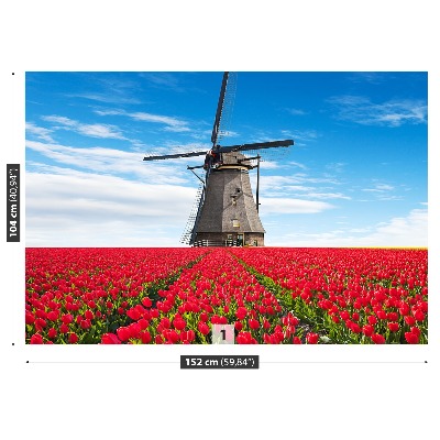 Fototapete Tulpen windmühle