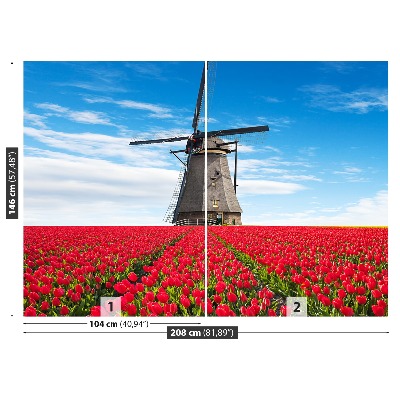 Fototapete Tulpen windmühle