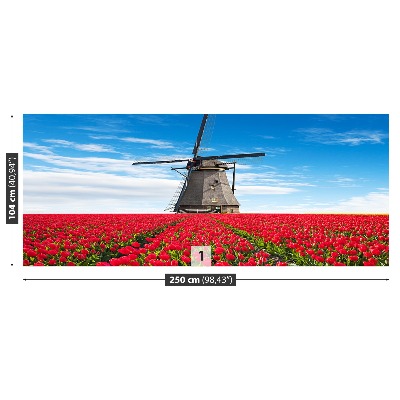 Fototapete Tulpen windmühle