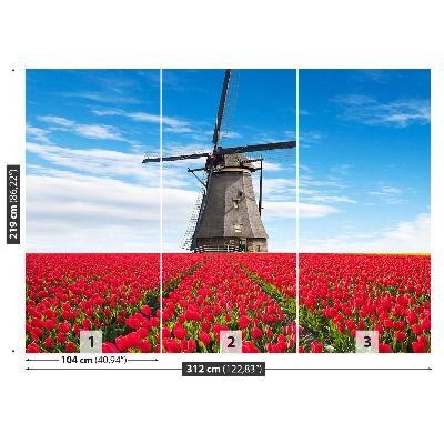 Fototapete Tulpen windmühle