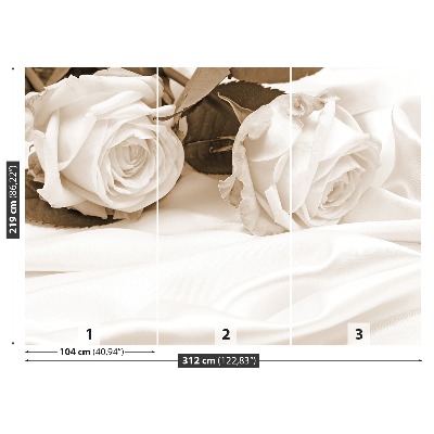 Bildtapete Sepia rosen