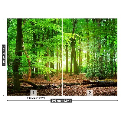 Fototapete Frühlingswald