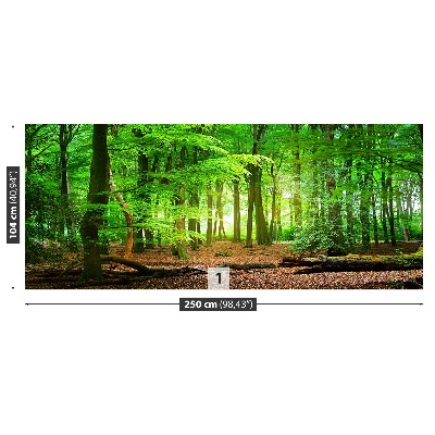 Fototapete Frühlingswald