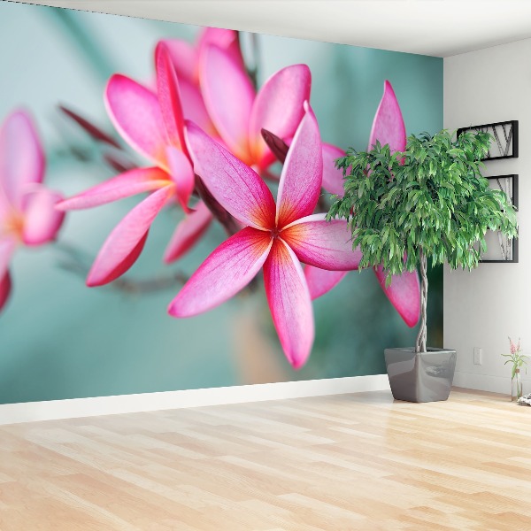 Bildtapete Rosa plumeria