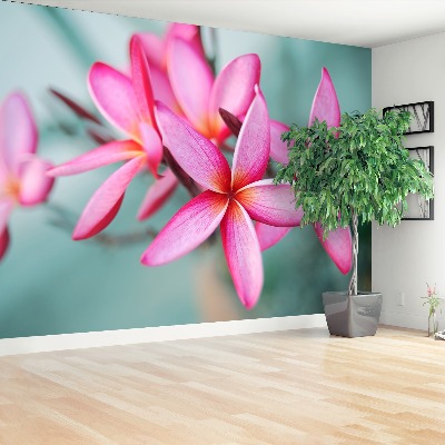 Bildtapete Rosa plumeria