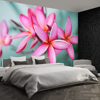 Bildtapete Rosa plumeria