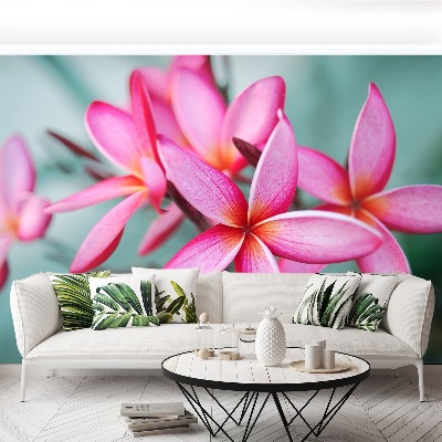 Bildtapete Rosa plumeria