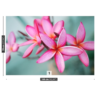 Bildtapete Rosa plumeria
