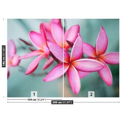 Bildtapete Rosa plumeria