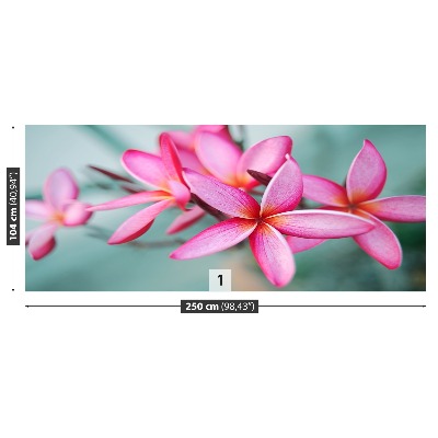 Bildtapete Rosa plumeria