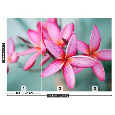 Bildtapete Rosa plumeria