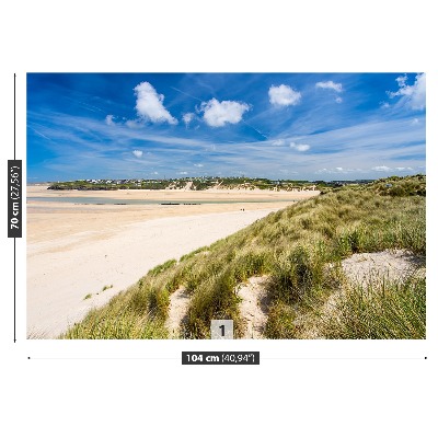 Fototapete Dünen-strand
