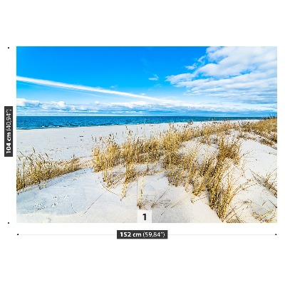 Fototapete Seedünen