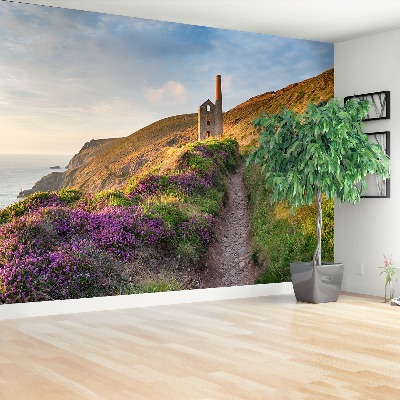 Fototapete Küste von cornwall