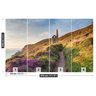 Fototapete Küste von cornwall