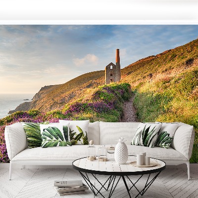 Fototapete Küste von cornwall
