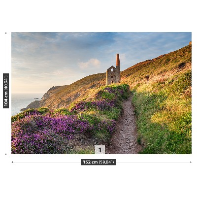 Fototapete Küste von cornwall