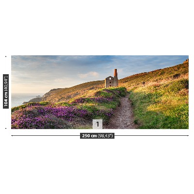 Fototapete Küste von cornwall
