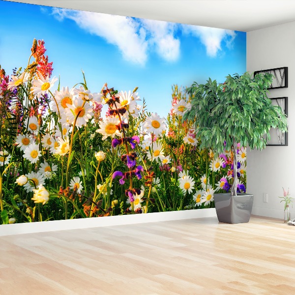 Bildtapete Frühlingsblumen
