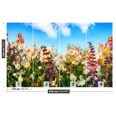 Bildtapete Frühlingsblumen