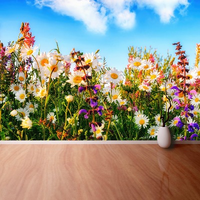 Bildtapete Frühlingsblumen