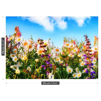 Bildtapete Frühlingsblumen