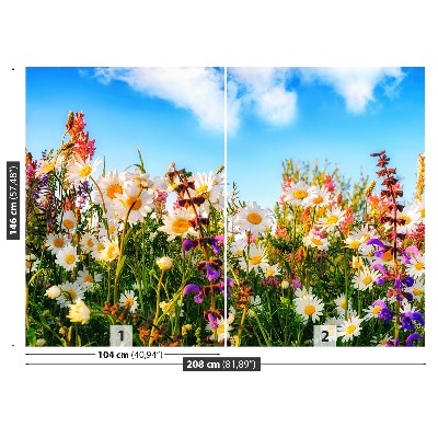 Bildtapete Frühlingsblumen