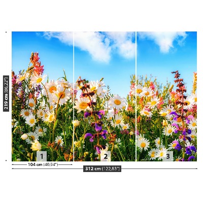 Bildtapete Frühlingsblumen