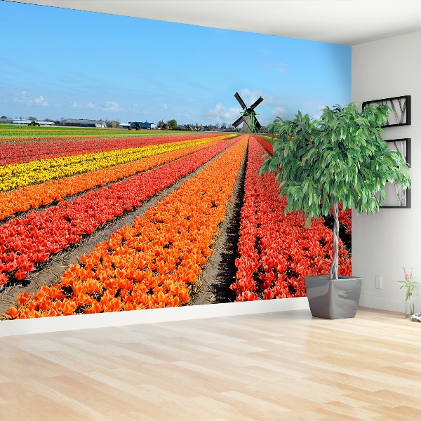 Fototapete Windmühle tulpen