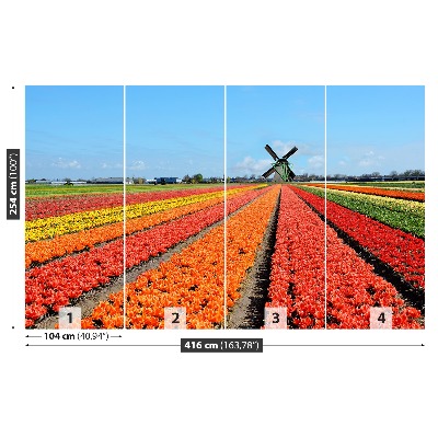 Fototapete Windmühle tulpen