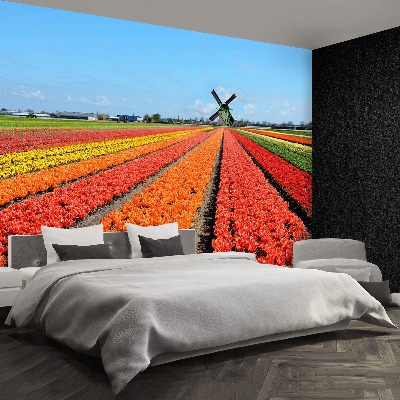 Fototapete Windmühle tulpen