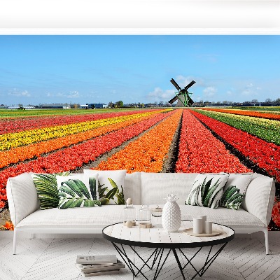Fototapete Windmühle tulpen