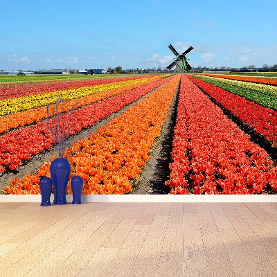 Fototapete Windmühle tulpen