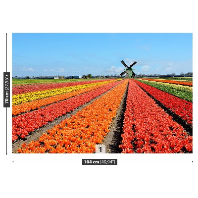 Fototapete Windmühle tulpen