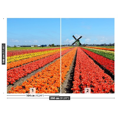 Fototapete Windmühle tulpen