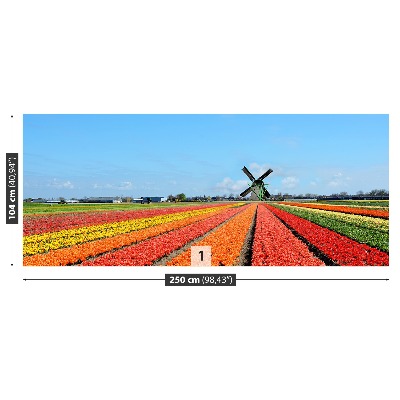 Fototapete Windmühle tulpen