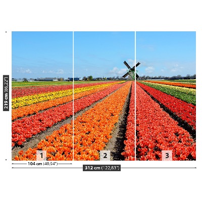 Fototapete Windmühle tulpen