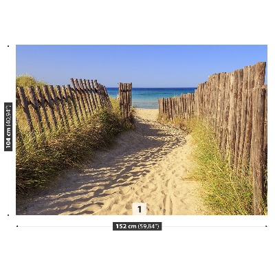Fototapete Seedünen
