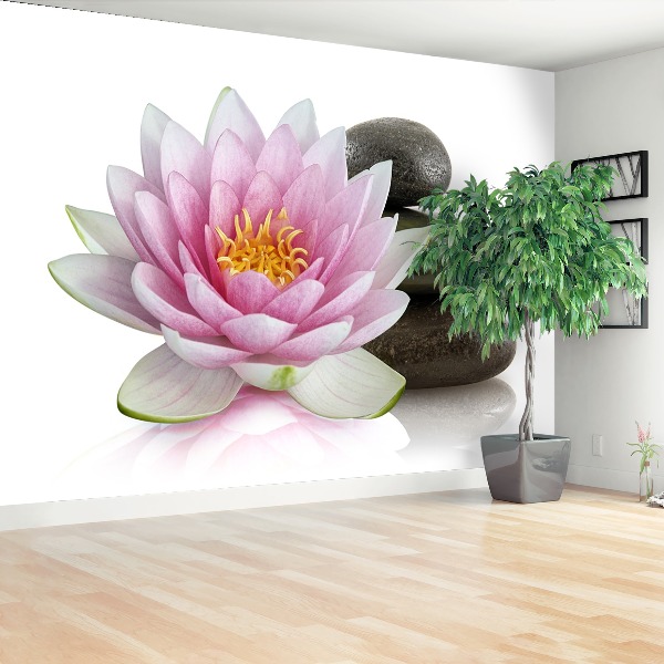 Bildtapete Lotus blume