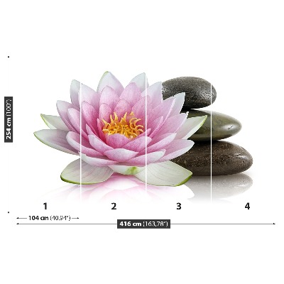 Bildtapete Lotus blume