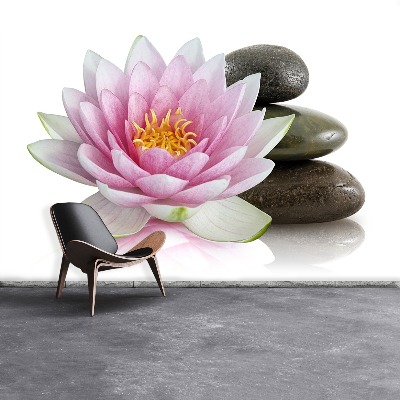 Bildtapete Lotus blume