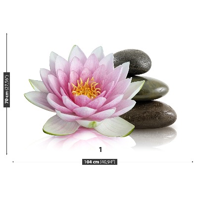 Bildtapete Lotus blume